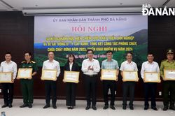 Hơn 1 triệu cây xanh được trồng trong giai đoạn 2021-2023