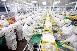 Xuất khẩu thủy sản ghi nhận nhiều 'tín hiệu xanh'