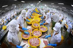 4 tháng đầu năm, xuất khẩu thủy sản Việt Nam đạt 2,7 tỷ USD