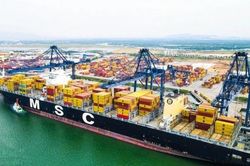 Cần thiết xây bến cảng tổng hợp Long Sơn Mỹ Xuân tại Thị Vải