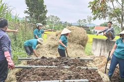 Nông dân Nghệ An 'biến' rơm rạ thành phân hữu cơ