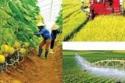 Việt Nam là điểm đến hấp dẫn với các công ty Đan Mạch trong lĩnh vực nông nghiệp