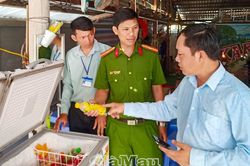 An toàn thực phẩm gắn với an sinh xã hội và văn minh đô thị