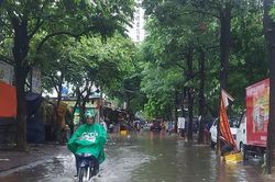 Hà Nội mưa vừa, mưa to kèm dông, lốc, sét gây úng ngập, gãy đổ cây xanh