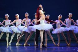 Ballet 'Hồ Thiên nga' trở lại với dàn nghệ sỹ trẻ tài năng