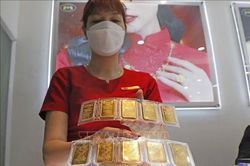 Giá vàng SJC tiếp tục tăng đến 800.000 đồng, tỷ giá đi ngang