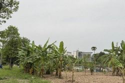 Luật Đất đai 2024: 4 'điều kiện đủ' để cơ quan chức năng cưỡng chế thu hồi đất