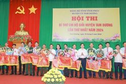 Tam Dương (Vĩnh Phúc): Tổ chức Hội thi Bí thư Chi bộ giỏi lần thứ nhất năm 2024