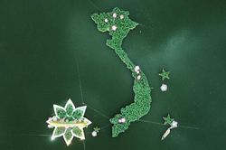 Nhiều kỳ vọng từ Lễ hội sen Đồng Tháp