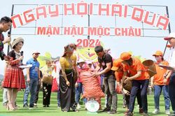 Ngày hội hái quả mận hậu Mộc Châu 2024