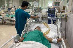 Tăng số ca sốt xuất huyết tại Hà Nội
