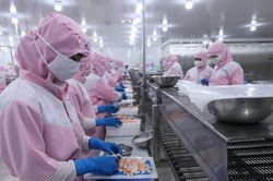 Thủy sản xuất khẩu rộng 'đường bơi'