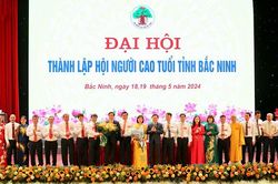 Bắc Ninh tổ chức thành công Đại hội điểm cấp tỉnh toàn quốc thành lập Hội Người cao tuổi