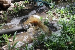 Xả nước thải ra môi trường, chủ trang trại nuôi lợn bị xử phạt gần 500 triệu đồng