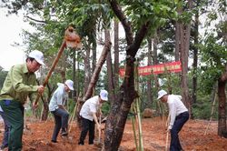 Lâm Đồng phát động 'Tết trồng cây' nhân dịp kỷ niệm 134 năm Ngày sinh của Bác Hồ