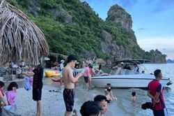 Yêu cầu xử lý tour du lịch 'chui' trên vịnh Bái Tử Long