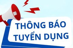 Ban Quản lý dự án 4 thông báo về việc tuyển dụng viên chức năm 2024 (lần 1)