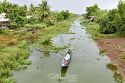 Sức sống mới sau đại hạn