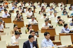 ĐBQH đề nghị cân nhắc kỹ quy định những người không được đăng ký tham gia đấu giá tài sản