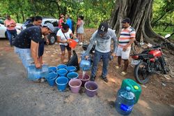 Mexico: Khỉ rú chết hàng loạt do say nắng; cảnh báo nắng nóng, hạn hán, mưa lớn, lũ lụt