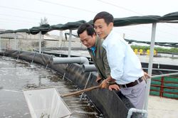 Người nuôi tôm tại Nghệ An thận trọng thả lứa mới