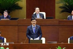 Đề nghị quy định cụ thể việc đấu giá đối với một số tài sản đặc thù