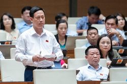 Hạn chế tổ chức đấu giá 'trì hoãn' việc tham gia đấu giá