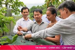 Gần 500 người dân ra quân vệ sinh môi trường, phòng dịch sốt xuất huyết