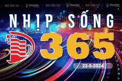 Bản tin truyền hình 'Nhịp sống 365' thứ tư 22-5-2024