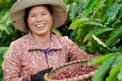 Giá cà phê hôm nay 22/5: Tiếp tục tăng, giá xuất khẩu tăng gần 50% sau 4 tháng
