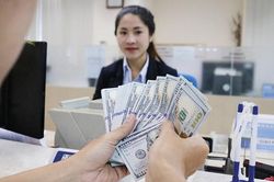 Tỷ giá chững đà tăng, nhưng nhiều yếu tố tiềm ẩn vẫn còn