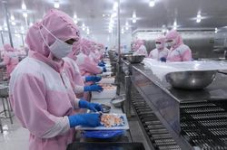 Xuất khẩu thủy sản dự báo tăng nhưng giá thấp
