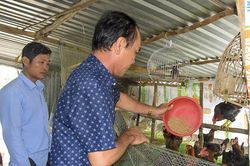 Gỡ khó cho các mô hình sinh kế