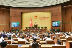Cấm nồng độ cồn khi lái xe: Có nên loại trừ với người bị bệnh dẫn đến có nồng độ cồn nội sinh?