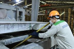 Ba 'chữ T' giúp doanh nghiệp thực hành ESG
