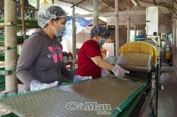 Thiết bị hiện đại sản xuất bánh phồng tôm