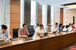 Đoàn đại biểu Quốc hội tỉnh Sơn La tham gia thảo luận đối với một số dự án luật