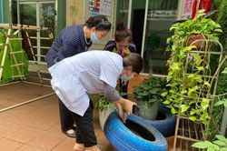 Hà Nội: Số ca mắc sốt xuất huyết, thủy đậu giảm nhưng tay chân miệng vẫn tăng