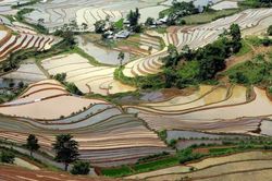 Lai Châu mùa nước đổ