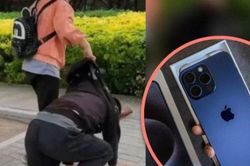 Ông bố quỳ gối, bị con gái sỉ nhục trên đường vì không đủ tiền mua iPhone