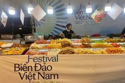 Dừng tất cả các hoạt động Festival biển, đảo Việt Nam TP Vũng Tàu