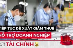Bản tin Kinh tế Tài chính | 25/05/2024