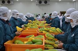 Xuất khẩu thủy sản, cà phê, rau quả 'made in Việt Nam' đang tăng tốc