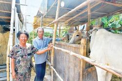 Hậu Giang lan tỏa tín dụng chính sách