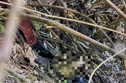 Phát hiện thi thể nghi của kẻ giết 'vợ hờ' rồi bỏ trốn vào rừng