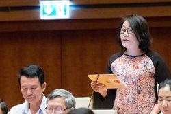 ĐBQH băn khoăn việc phát triển mô hình cơ sở giáo dục chất lượng cao, thu hút nhân tài