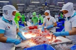 Doanh nghiệp mất tiền vì giảm thuế VAT nhưng thiếu hướng dẫn