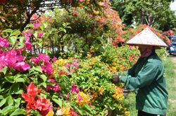 Người đảng viên trách nhiệm, nghĩa tình
