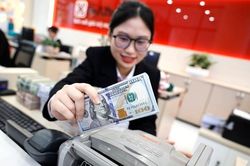 Tỷ giá chưa hạ nhiệt, cách nào để dứt 'cơn sốt'?