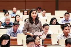 Đại biểu Quốc hội tỉnh Đoàn Thị Lê An phát biểu tại phiên thảo luận ở hội trường về dự thảo Luật Tổ chức Tòa án nhân dân (sửa đổi)